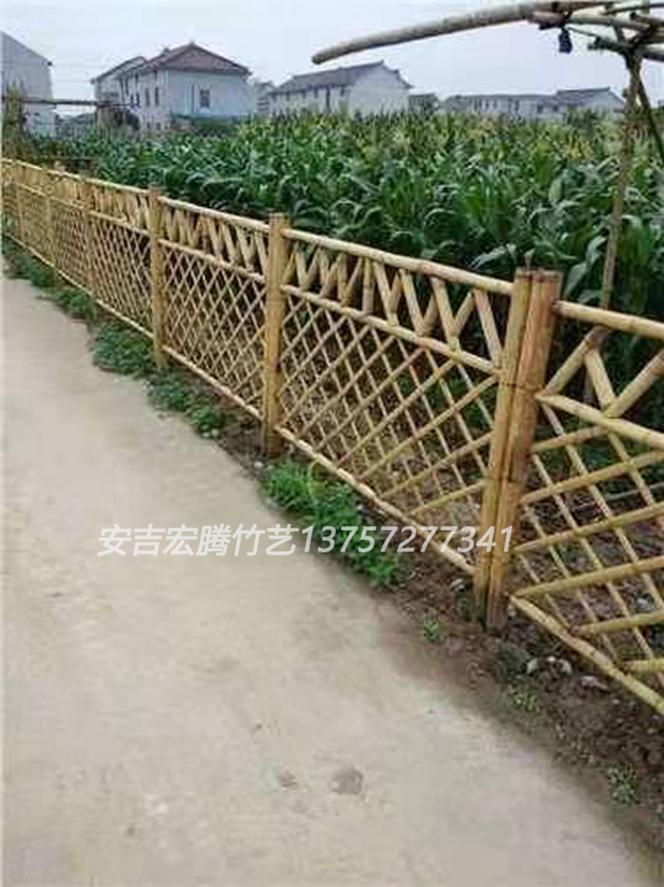 竹篱笆-10